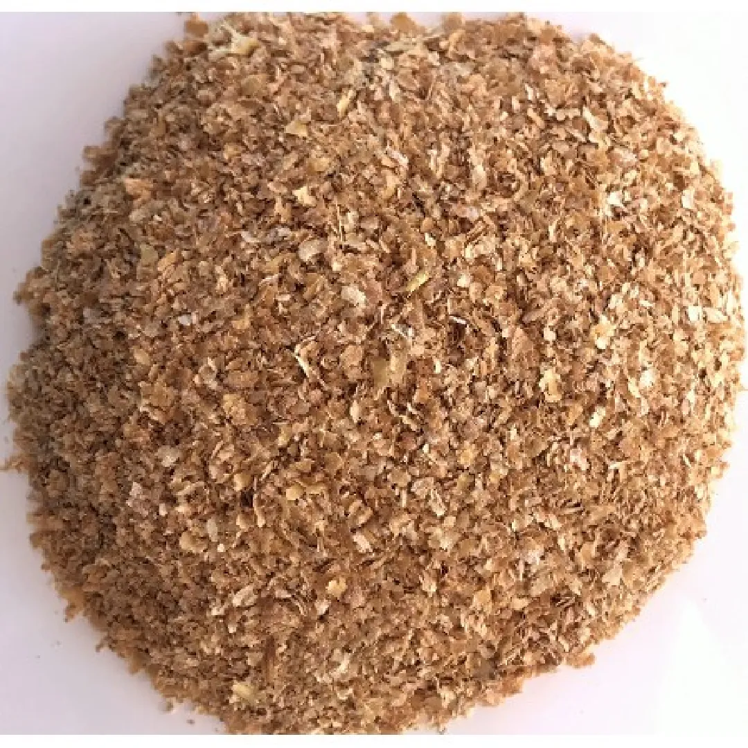 A10Grain Wheat DDGS Trading Service
