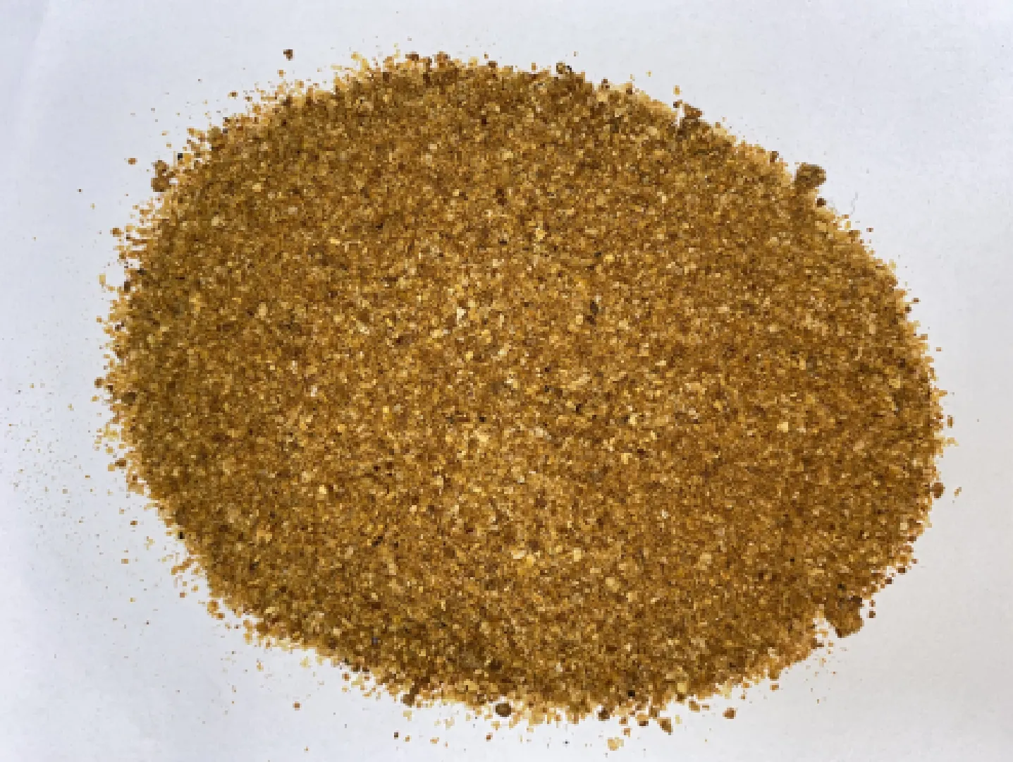 A10Grain Corn DDGS Trading Service