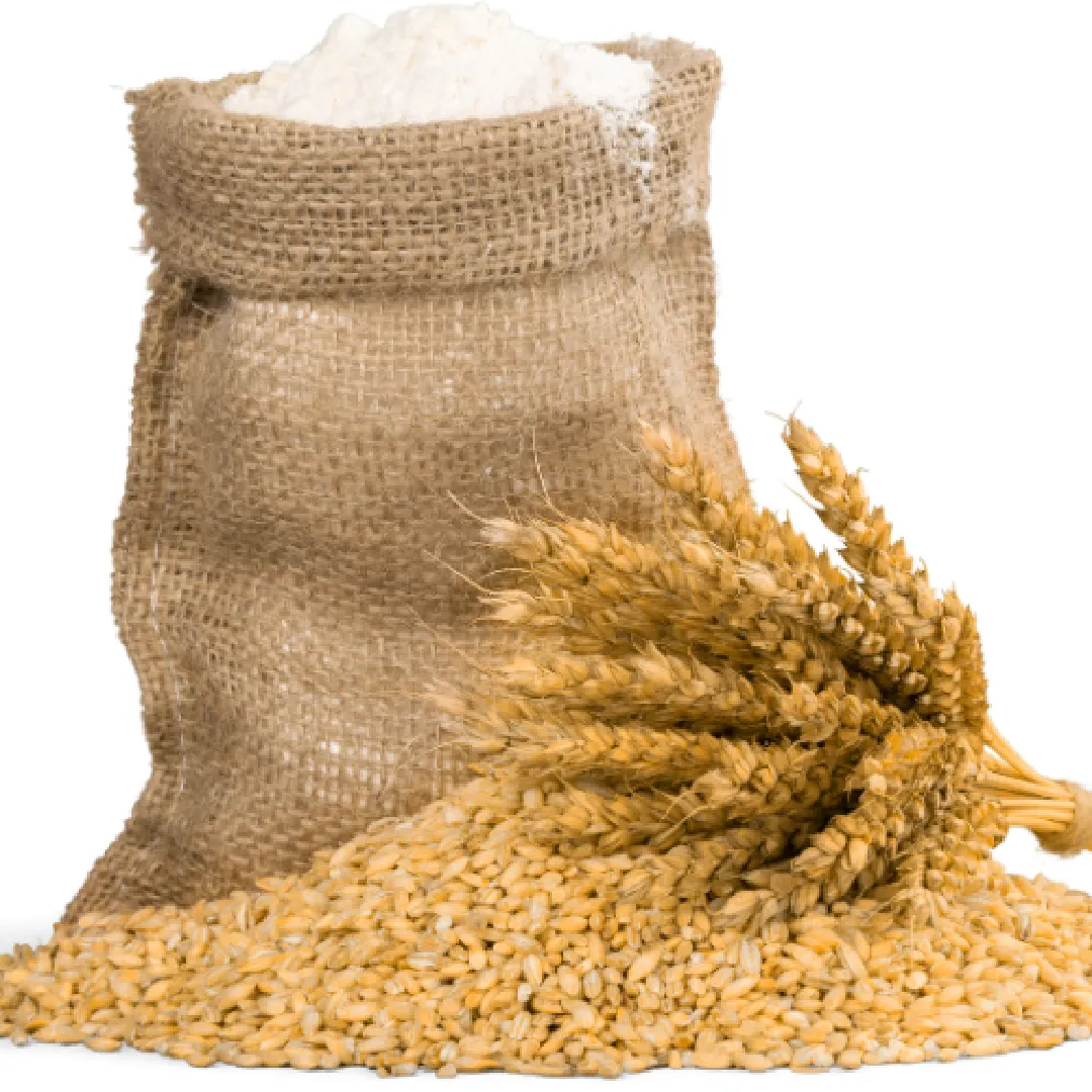 A10Grain Hakkımızda Görsel