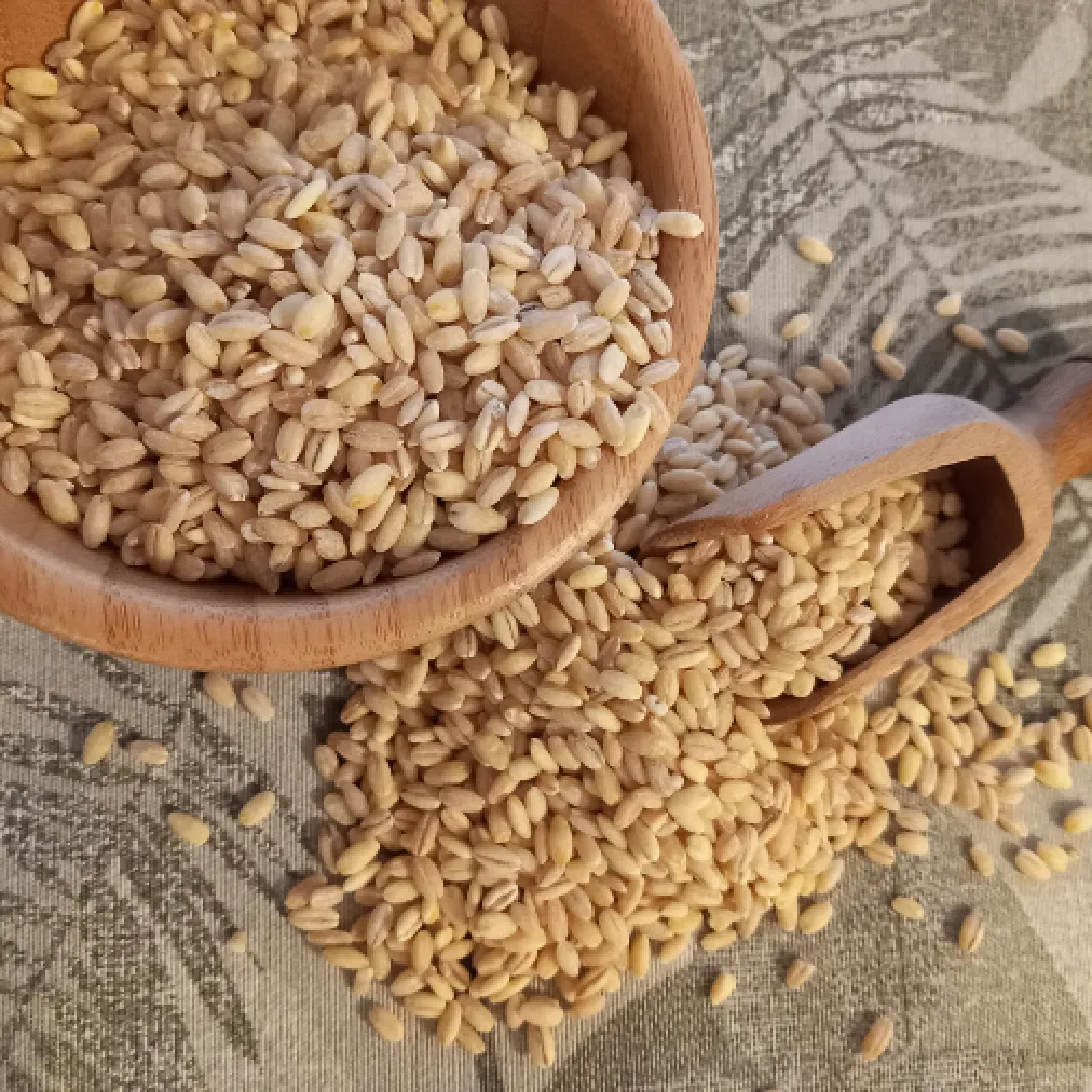 A10Grain SSS Bölümü Görseli